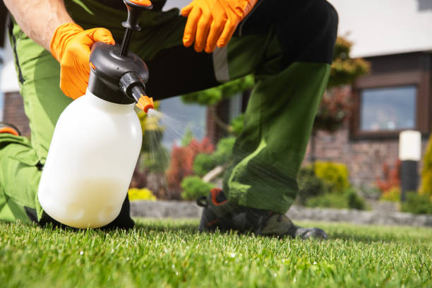 Best Best Pest Control Companies  in Medulla, FL
