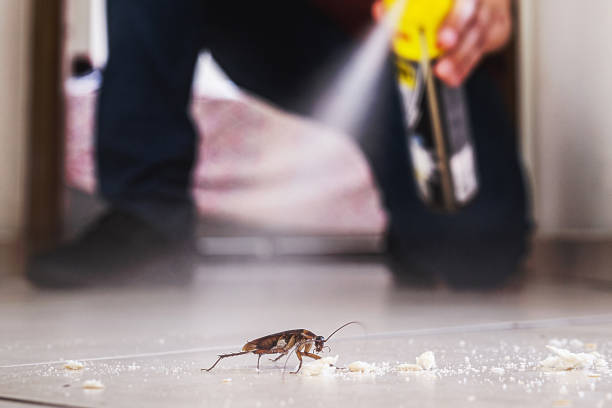 Best Termite Control Services  in Medulla, FL