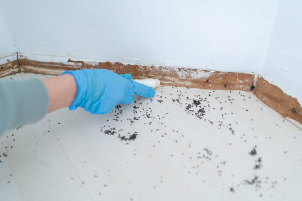 Best Pest Prevention Services  in Medulla, FL