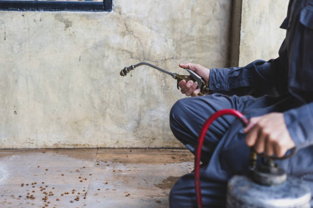 Best Cockroach Control Services  in Medulla, FL